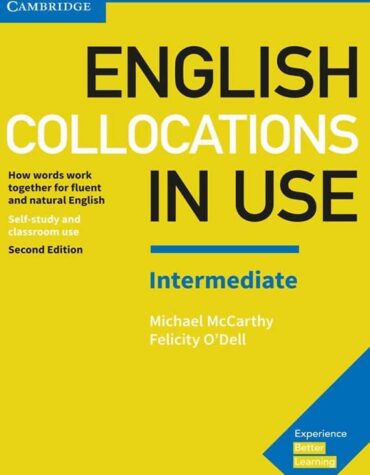 English Collocations In Use Intermediate book